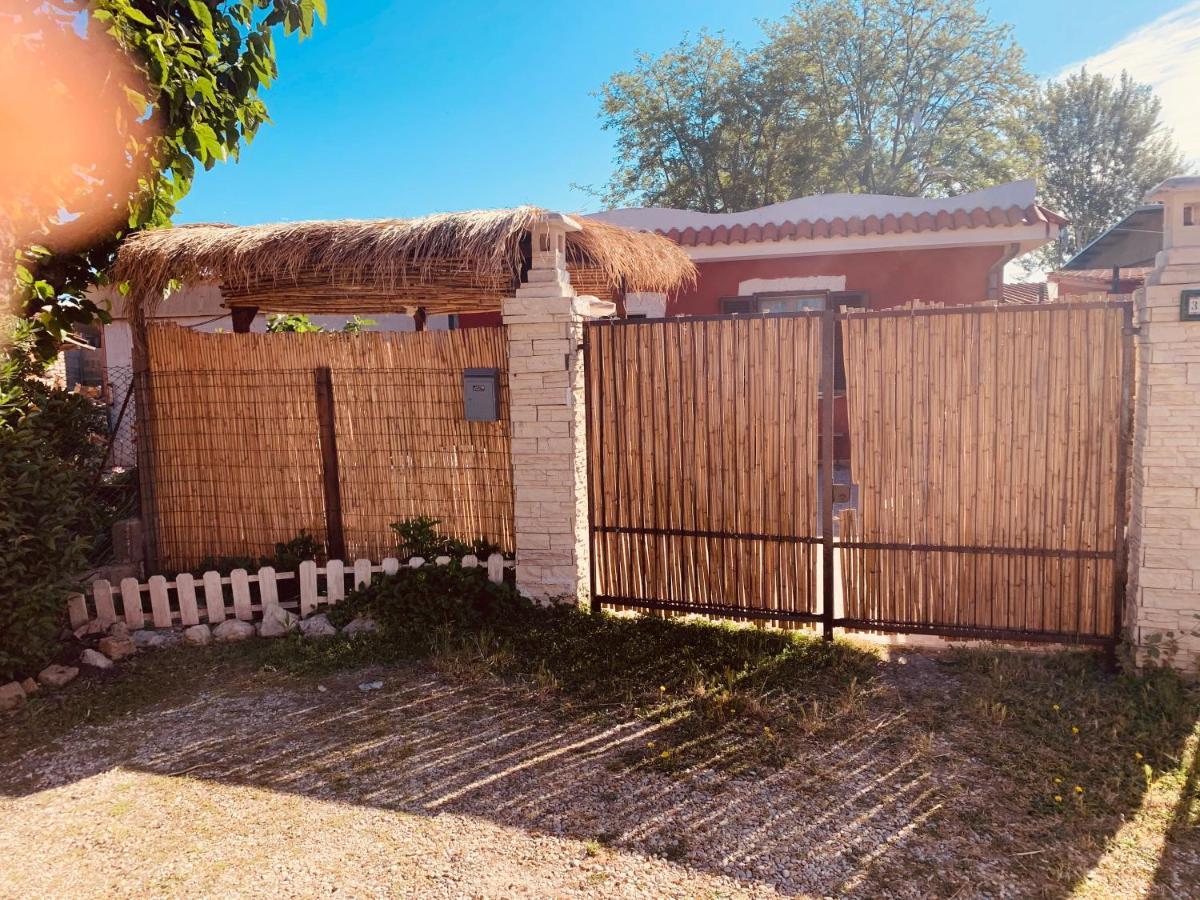 Casa Fe Leilighet Fregenae Eksteriør bilde